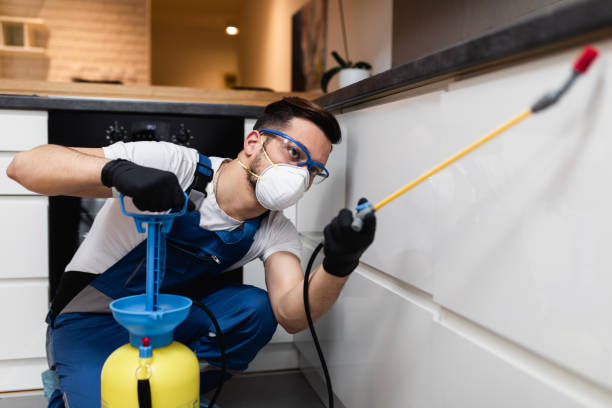 Best Affordable Pest Control Services  in Osceola, AR