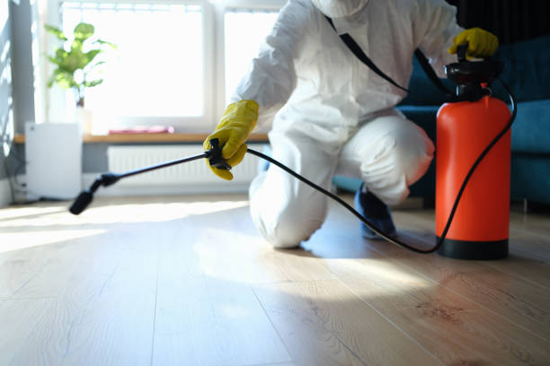 Professional Pest Control in Osceola, AR