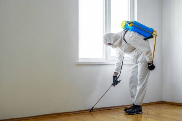 Best Residential Pest Control  in Osceola, AR