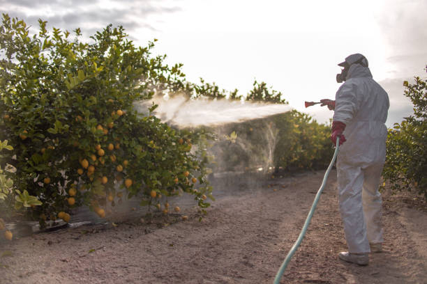 Flea Control Services in Osceola, AR