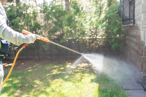 Best Flea Control Services  in Osceola, AR