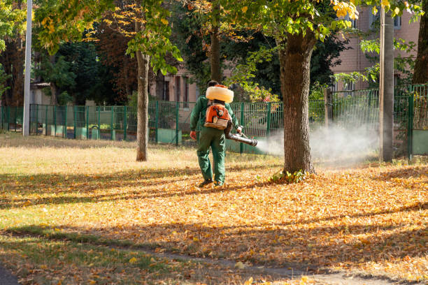 Best Exterminator Services  in Osceola, AR