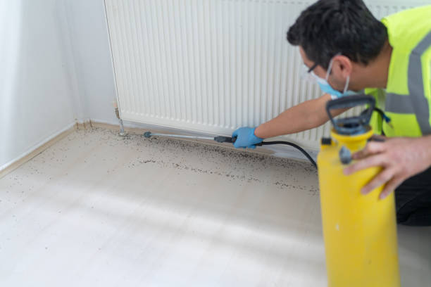 Pest Control Cost in Osceola, AR